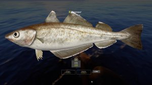 РР4 - Русская рыбалка 4 - Russian fishing 4 - Норвежское море ловим на 55 глубине на Turion 30000 2ч