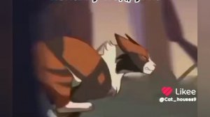 держите подборку из лайка