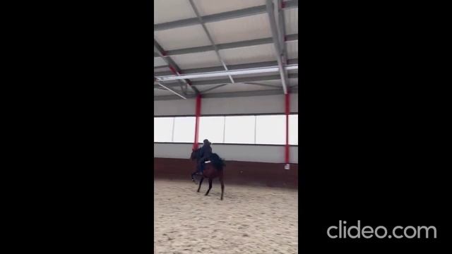 Конкур 140. Идеальный учитель. Арт.: 0191