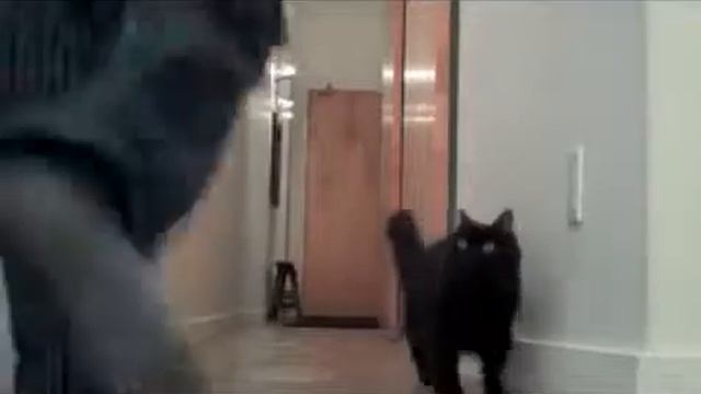 Эй, куда шарик понёс ㋛㋛