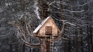 Строим уютное укрытие на дереве в стиле Бушкрафт, чтобы пережить морозную зиму