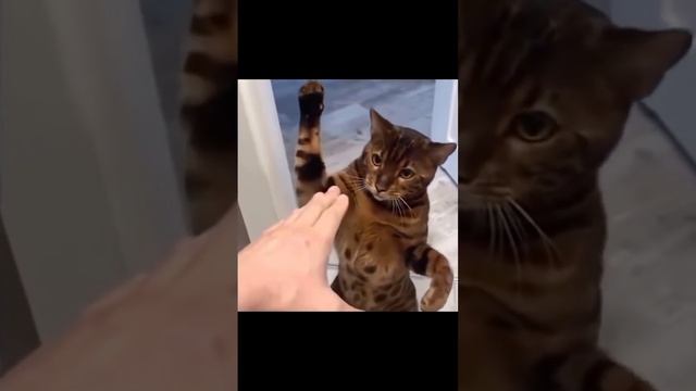 Very fanny😂💕Очень смешно😂💕 смотреть онлайн