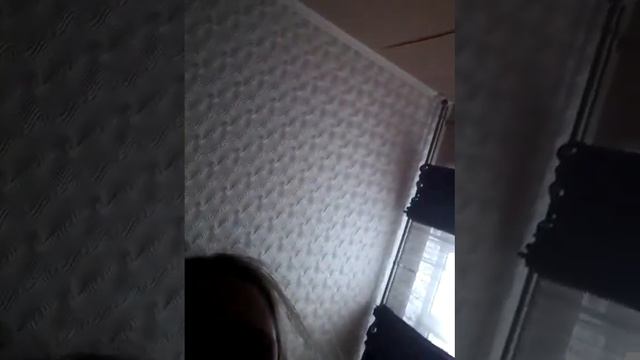 Моя коллекция  вязаных  игрушек