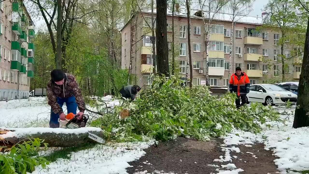 В Дубне ликвидируют последствия обвального снегопада