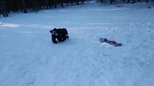Кабы не было зимы в городах и селах, никогда б не знали мы этих дней веселых!