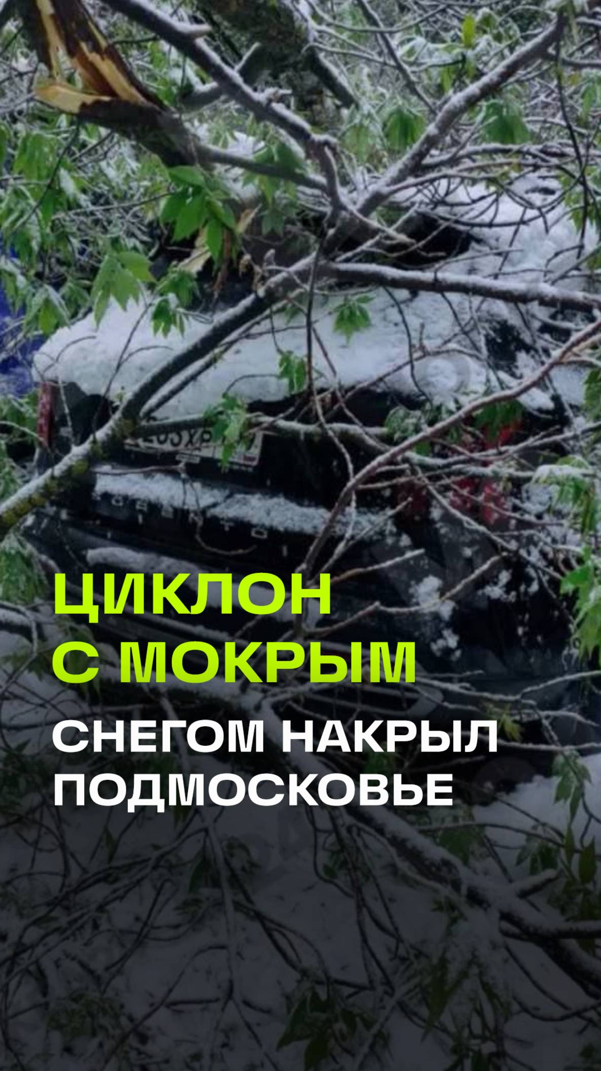 Майские шашлыки отменяются: снежный апокалипсис в Москве и Подмосковье