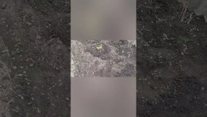 Вспахали огород. Погода не радует, холод, дожди, дела стоят. 😔