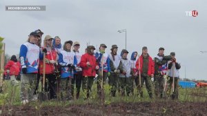 В парке "Патриот" высадили геоглиф к 80-летию Победы / События на ТВЦ