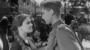 Баллада о солдате (кавер)