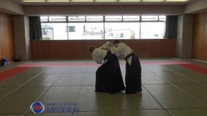 13 Aikido Katadorimenuchi Ikkyo Ura 2 Shishiya Sensei Tokyo 2015