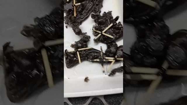 что сегодня🥸 к вам летело?