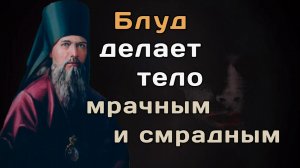 Блуд. Как с ним бороться? Феофан Затворник