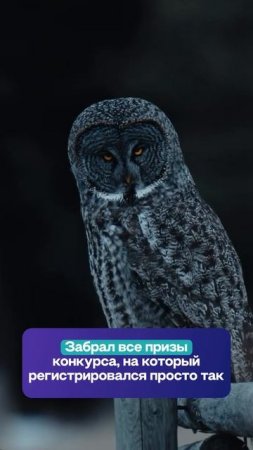 Наши подписчики могут, умеют, практикуют 😎