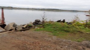 погрузка на паром