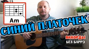 СИНИЙ ПЛАТОЧЕК - КАК ИГРАТЬ НА ГИТАРЕ (АККОРДЫ БЕЗ БАРРЭ И ТЕКСТ ПЕСНИ) РАЗБОР (КАВЕР)
