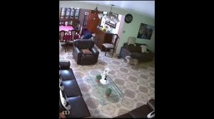 Собака разбила журнальный столик не задев его.