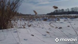 Лесная кухня зимний поход в тайгу.