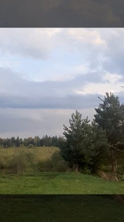 Весна.mp4