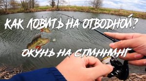 Ловля на отводной. Окунь на каждой проводке. Mifine microbite.