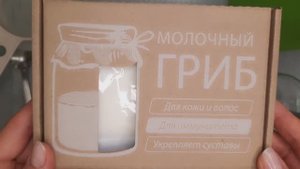 Купила молочный гриб. Готовлю полезный кефир.