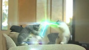 Коты - джедаи. Эпизод V. Последняя надежда.