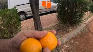 Каш-Мандарины-Турция #СамодельныйАвтодом #vanlife #приключение #travel #автопутешествие #евгенийкуба