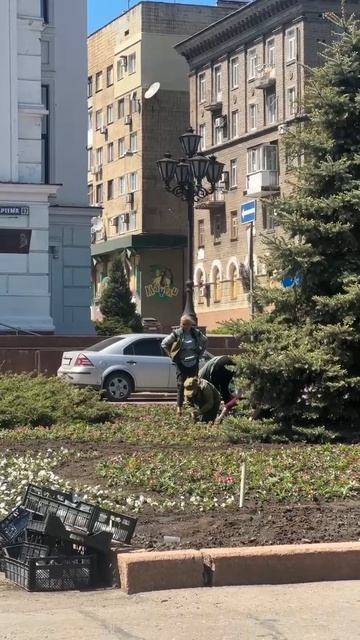 Несмотря на праздники, работники Зеленстроя сажают цветы у театра оперы и балета 

Скоро будет красо