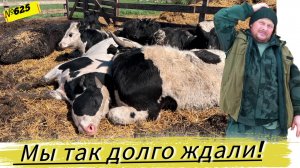 МЫ ЭТОГО СОБЫТИЯ ЖДАЛИ 6 МЕС.  Теперь жизнь в деревне станет легче.