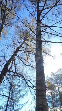 02.05.2025 г., ЧТ_2-ой тренировочный день майского бегового лагеря_12,6 км