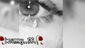 🥀Новая душевная песня 2025 🥀её ищет все🖖⚜️👀