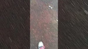гуляю с подругой