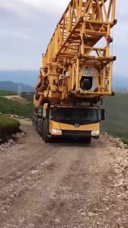#truck #satisfying #machinetools #moderntools #woodworking #shortvideo
