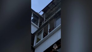 Кот запер хозяек на балконе в Биробиджане: видео