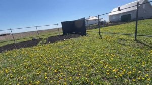 Новинка получилась не такой уж и плохой