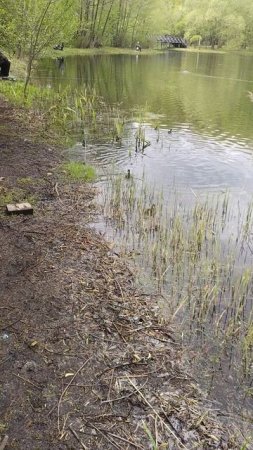 Самое доброе утро ВСЕМ