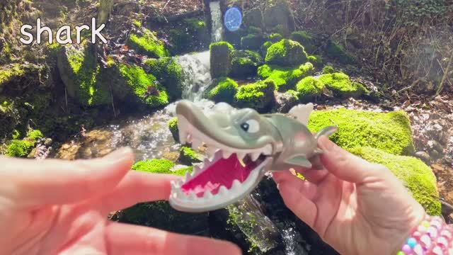 Выучите названия морских животных для самых маленьких детей у водопада Акула, черепаха, Морская выдр