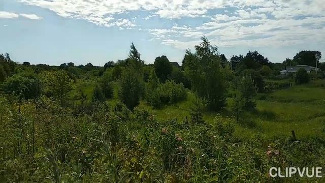 ЗАХОДИЛА В ГОСТИ НОСТАЛЬГИЯ... смотреть онлайн