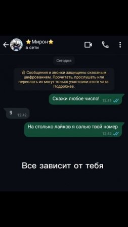 Я салью твой номер