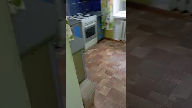 авито квартира