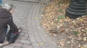 Белочка - 2 (03.10.2023 г.)