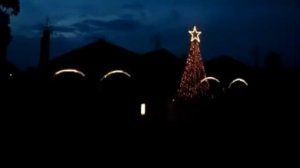 Вивел,вивел ракю