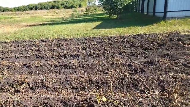 Вот и осень наступила 🥔Готовимся к уборке картофеля