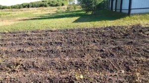 Вот и осень наступила 🥔Готовимся к уборке картофеля