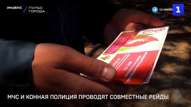 МЧС и конная полиция проводят совместные рейды