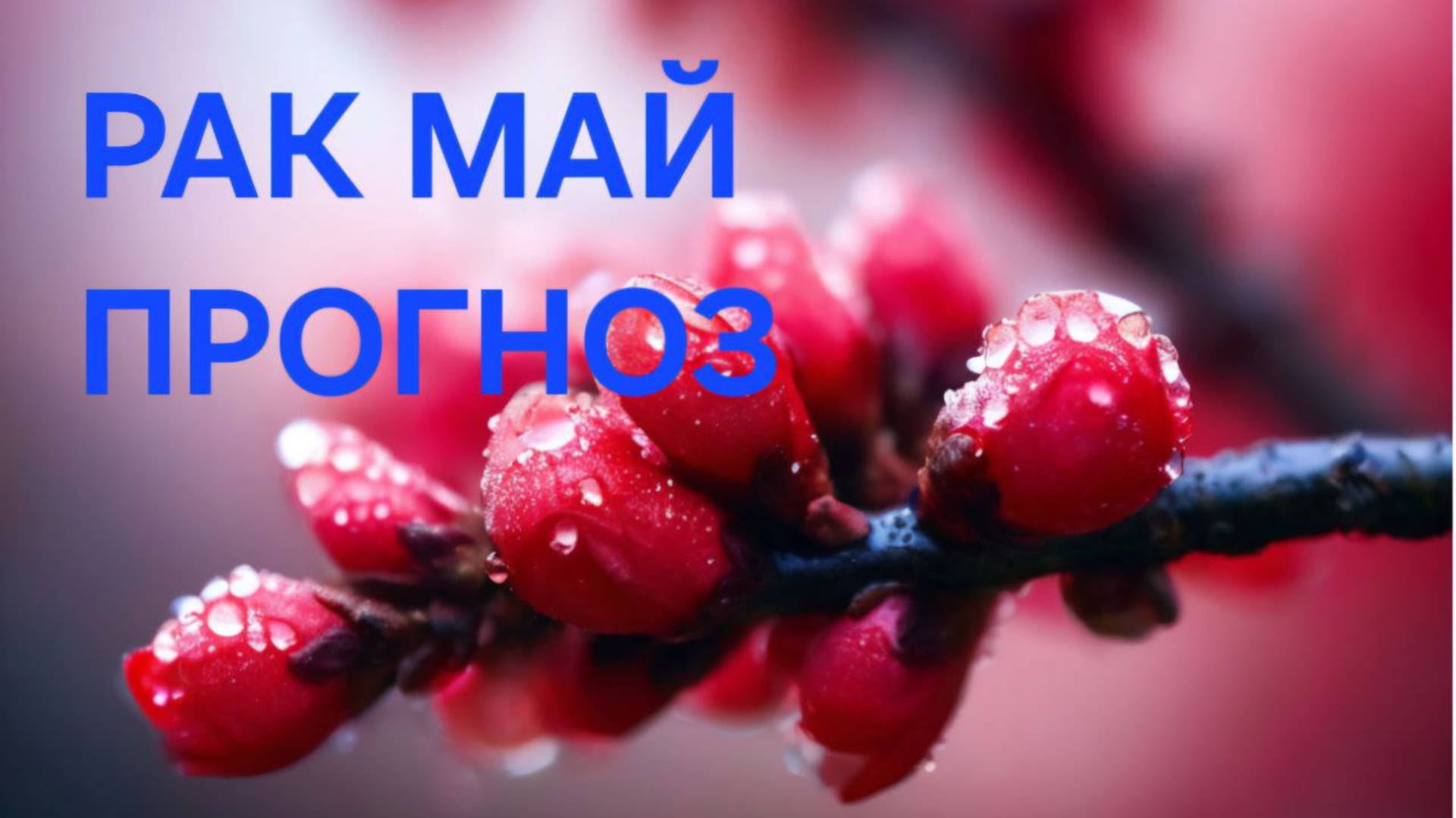 РАК.ТАРО ПРОГНОЗ НА МАЙ