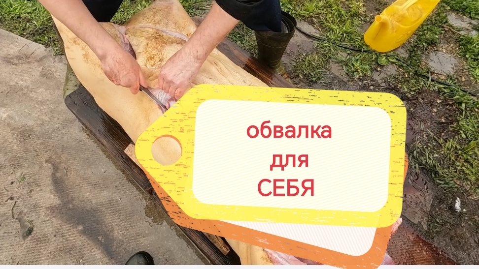 ДоМаШнЯтСкАя обвалка свинины для себя смотреть онлайн