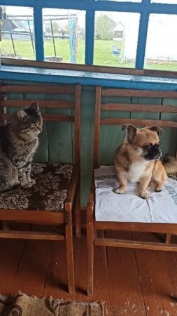 В деревне и дождь не помеха))))