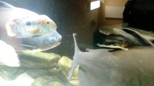 Ижевский зоопарк, аквариум 2025