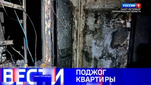 Вести Санкт-Петербург. Выпуск 08.00 от 03.05.2025