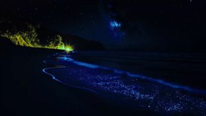 Успокаивающие звуки морских волн | Белый шум для релаксации, медитации и глубокого сна